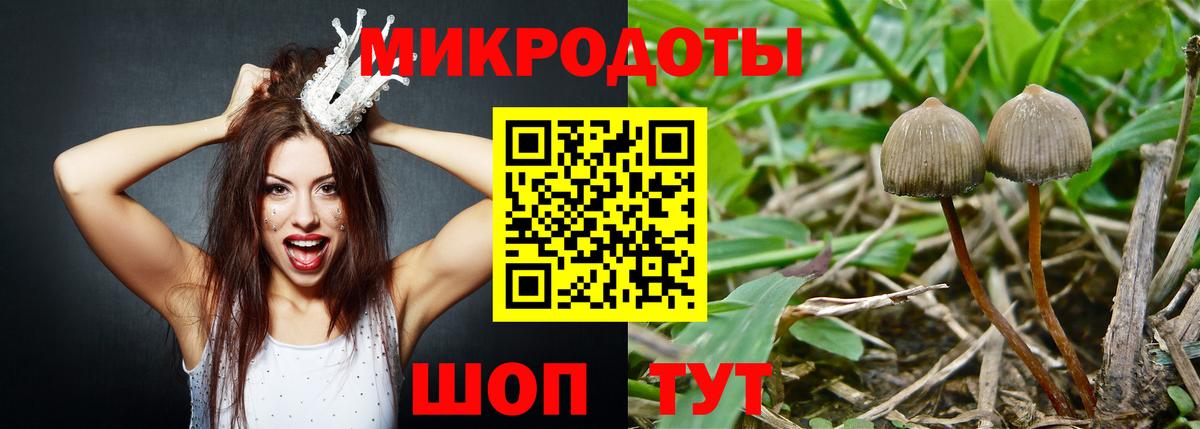 Псилоцибиновые грибы Cubensis  Вход с VPN  где продают наркотики  Бахчисарай 